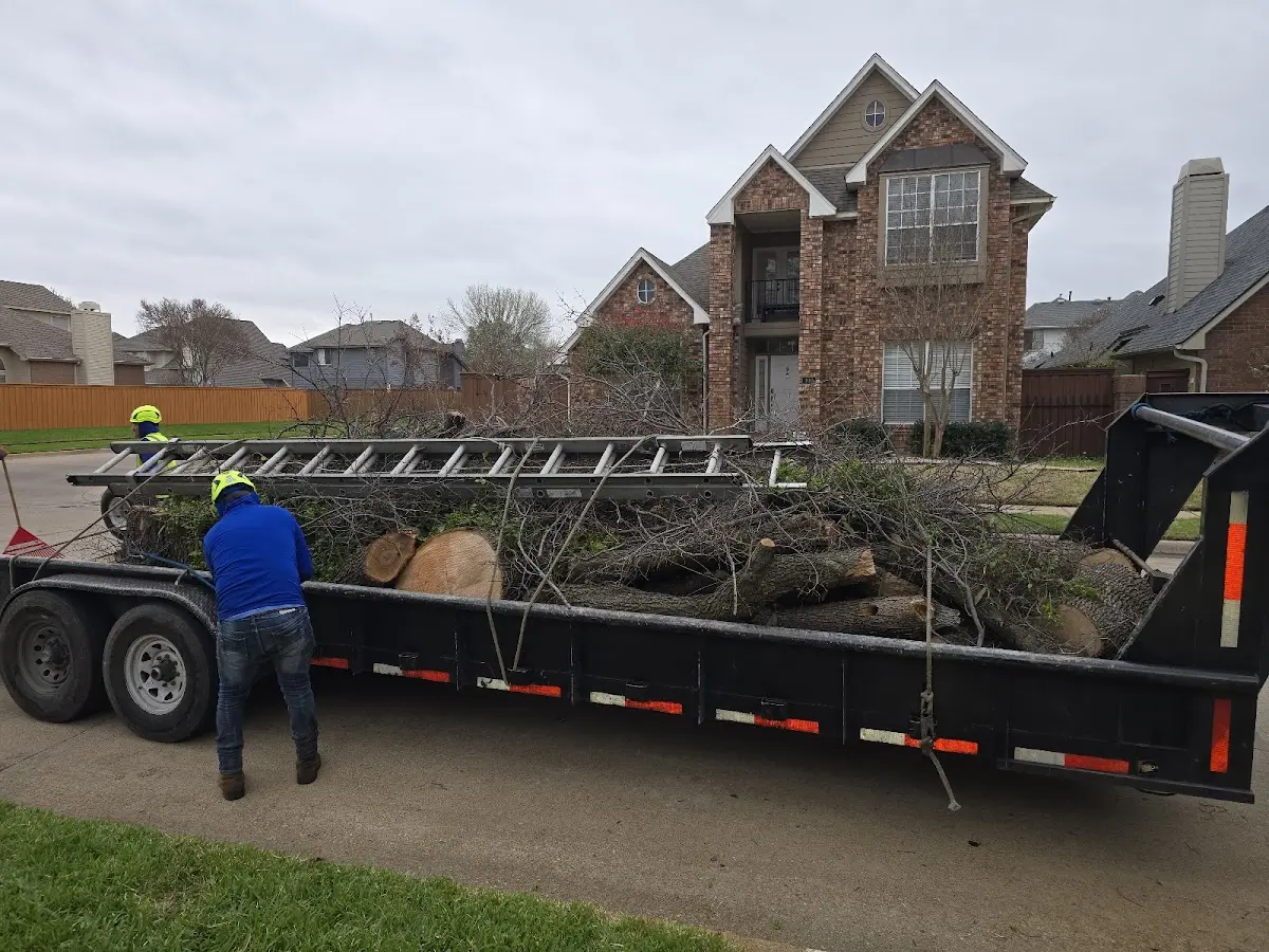 Expert Tree Fertilization with proper safety equipment in Ponder